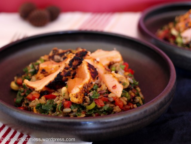 Marinated Grilled Salmon and Brown Rice Rainbow Salad easy savoury recipe One Perfect Mess Thai Asian healthy lunch dinner cashew capsicum soy sauce sweet chilli 1